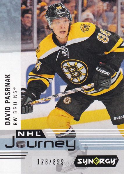 insert karta DAVID PASTRŇÁK 19-20 Synergy NHL Journey /899